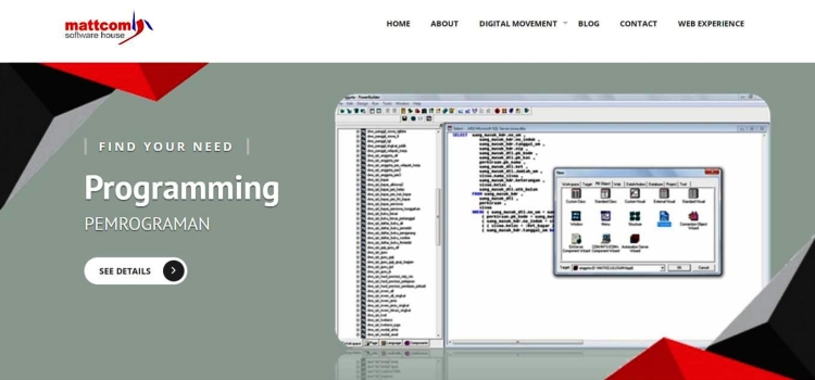 Software House Terbaik